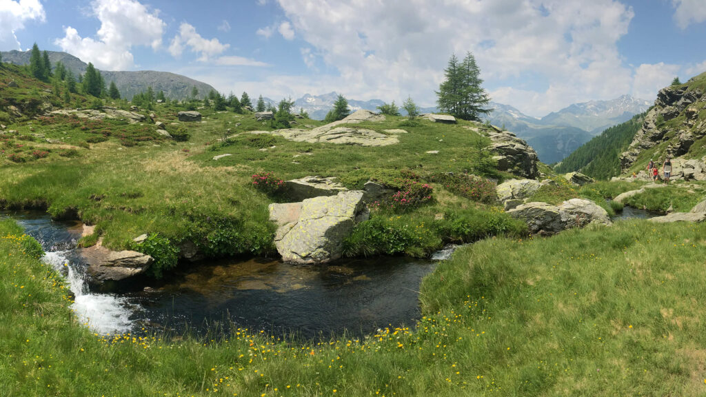 Hotel il portico 1711 dintorni prealpi ed escursioni alpe angeloga alpeggio