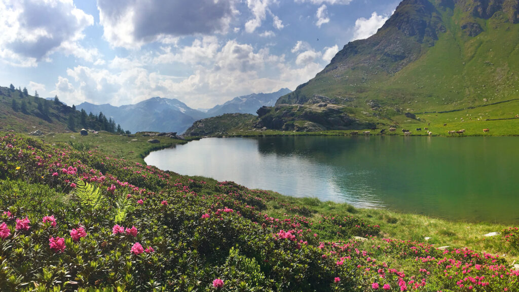 Hotel il portico 1711 dintorni prealpi ed escursioni alpe angeloga particolare laghetto