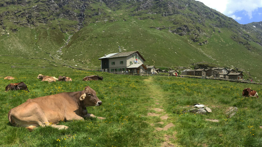 Hotel il portico 1711 dintorni prealpi ed escursioni alpe angeloga rifugio chiavenna