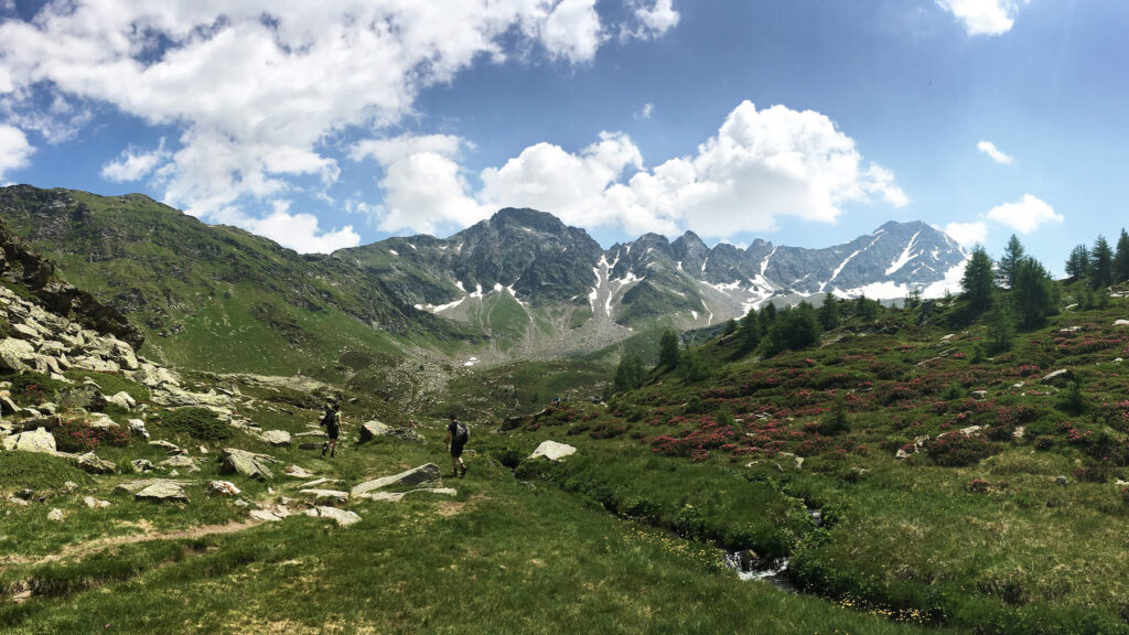 Hotel il portico 1711 dintorni prealpi ed escursioni alpe angeloga arrivando allalpeggio