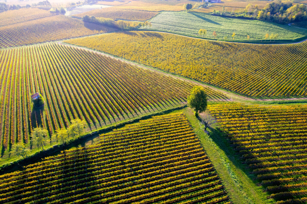 Hotel il portico 1711 dintorni enogastronomia vigneti